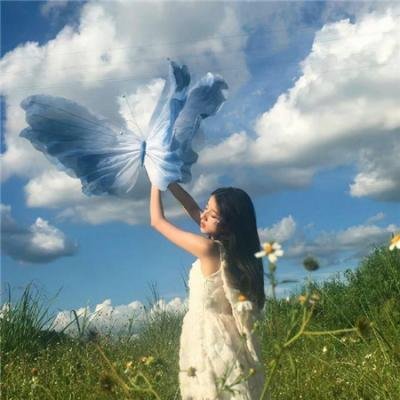 浪迹自由
